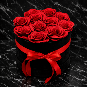 10DC7910-12A3-45B5-847A-F3F7F9D77967