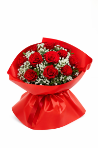 C9AF06B6-A869-4DD2-A7E9-5448CB754424