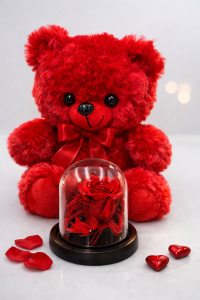 CC39D7FE-BFB5-4557-BFD9-3E5855A06DAE