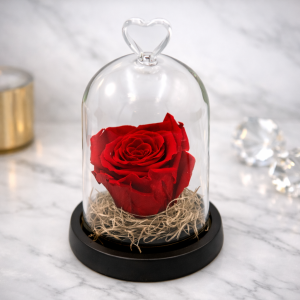 D356B7A7-A0B9-4135-B3BE-185278DFA917