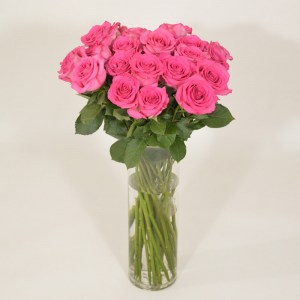 Fuchsia-roses-005