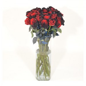 black-red-roses-006-2